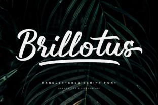 Brillotus: A Handwritten Typeface for Authentic Brand Identity