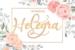 Helegra: A Script Amp Typeface for Summer Editorial Design