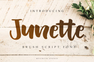 Junette Typeface Review: A Brush Script for Modern Campaign Design