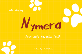 Nymera: The Script Amp Typeface That Elevates Campaign Visuals