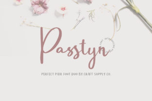 Passtyn Duo Review: A Designer’s Take on This Script Amp