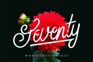 Seventy Font Review: A Designer’s Take on Script Amp’s Latest