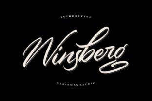 Winsberg Typeface: Elevate Your Brand Identity